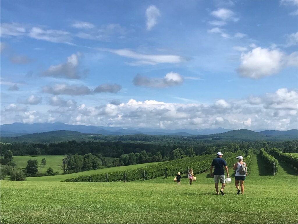 photo of people at Chattooga Belle Farm